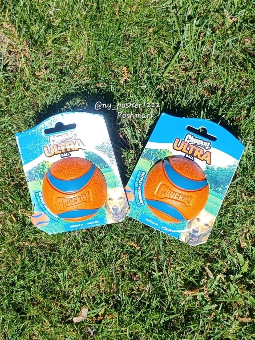 𝗖𝗵𝘂𝗰𝗸𝗶𝘁! 𝗨𝗟𝗧𝗥𝗔 𝗕𝗔𝗟𝗟 Dog Toy Orange/Blue (Size Medium) (2 balls)